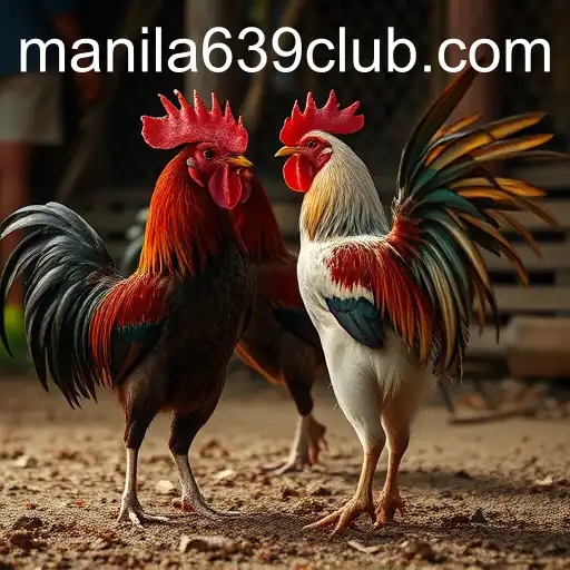 639CLUB.COM-BONUS6
